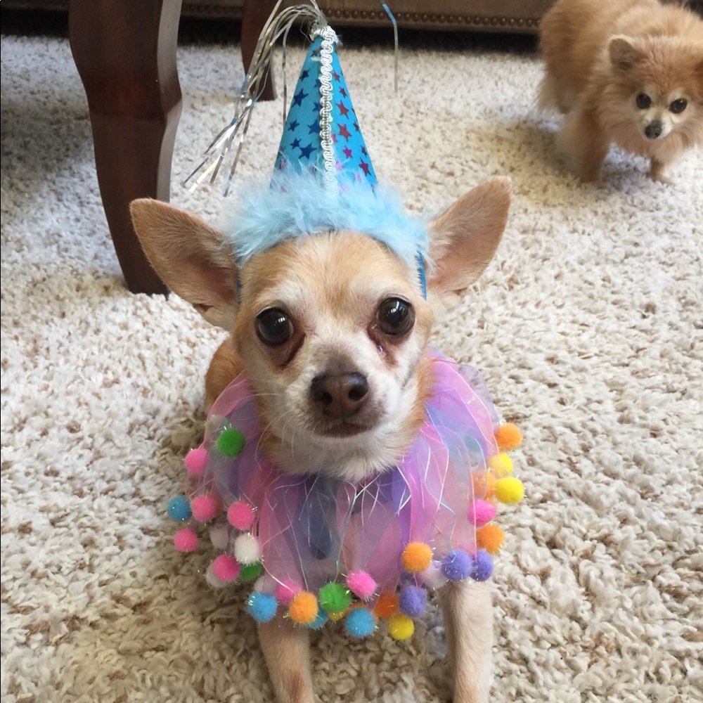 Meet your Posher, Kendra